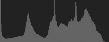 Histogram