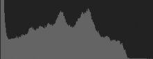 Histogram