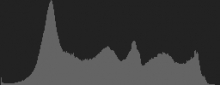 Histogram