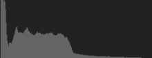 Histogram