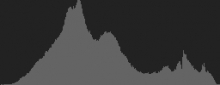 Histogram