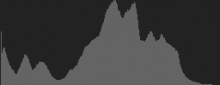 Histogram