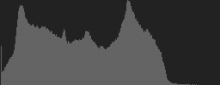 Histogram