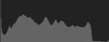 Histogram