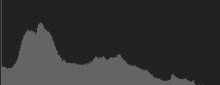 Histogram