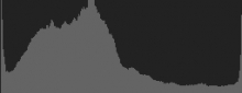 Histogram